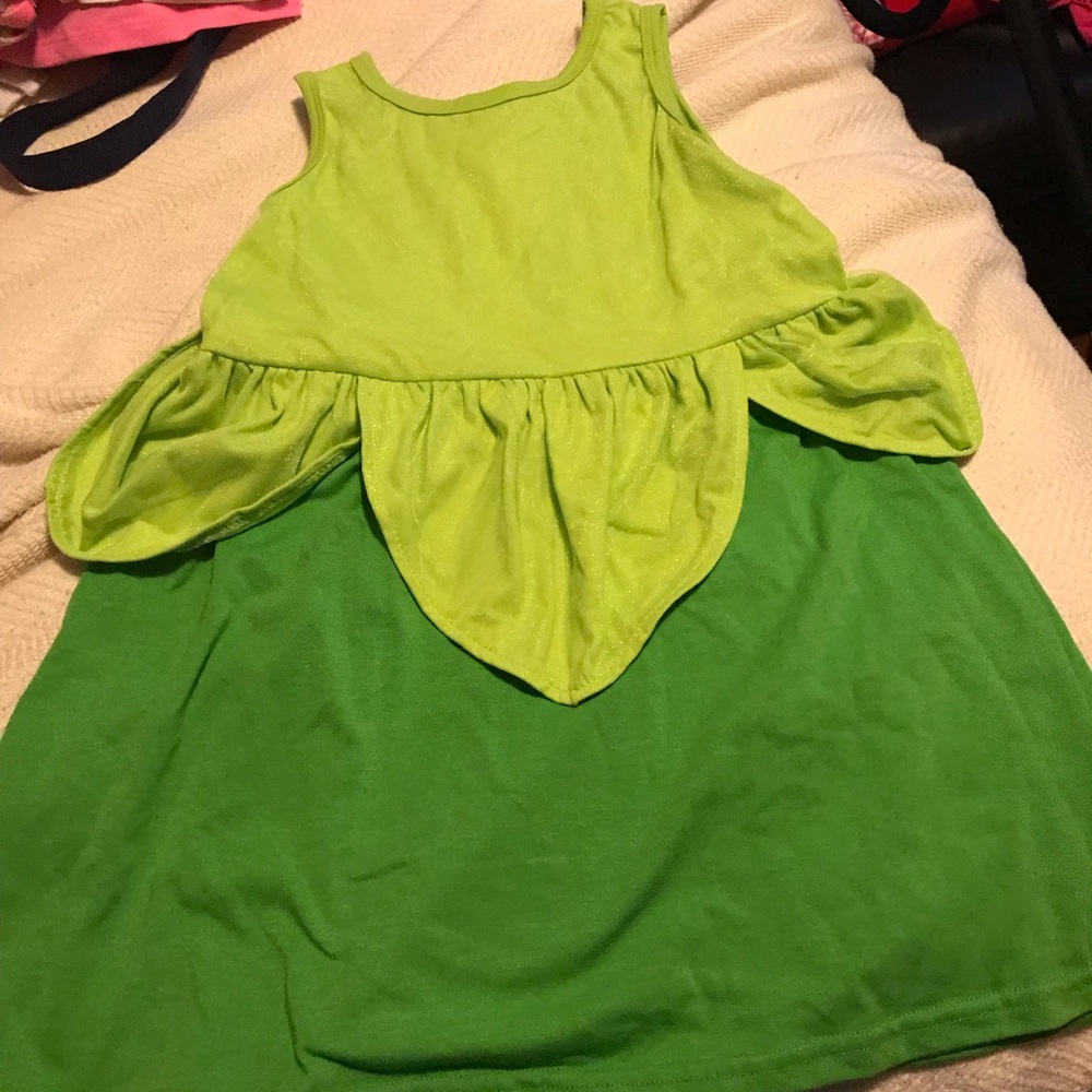 Inspired princess tiahnee dress